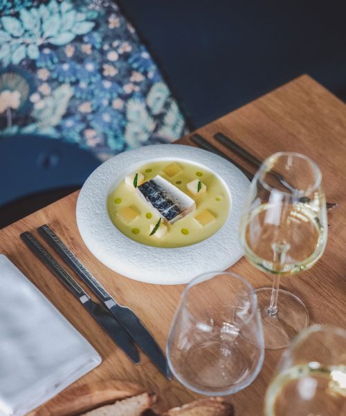 Maquereau_carte_automne_arco_2025