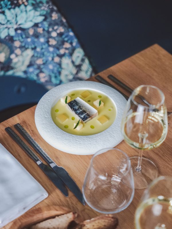 Maquereau_carte_automne_arco_2025